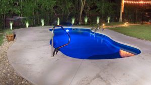 Small Organic Shape Swimming Pool in Nicely Lit Back Yard